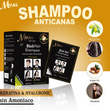 SHAMPOO TINTE ANTICANAS MUSA